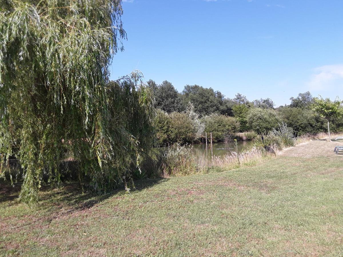 La Belviniere Chambres Et Table D'Hotes Tour-en-Sologne Luaran gambar