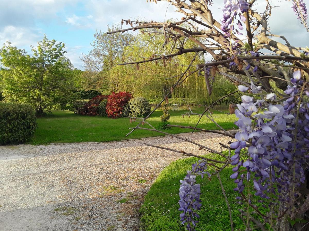 La Belviniere Chambres Et Table D'Hotes Tour-en-Sologne Luaran gambar