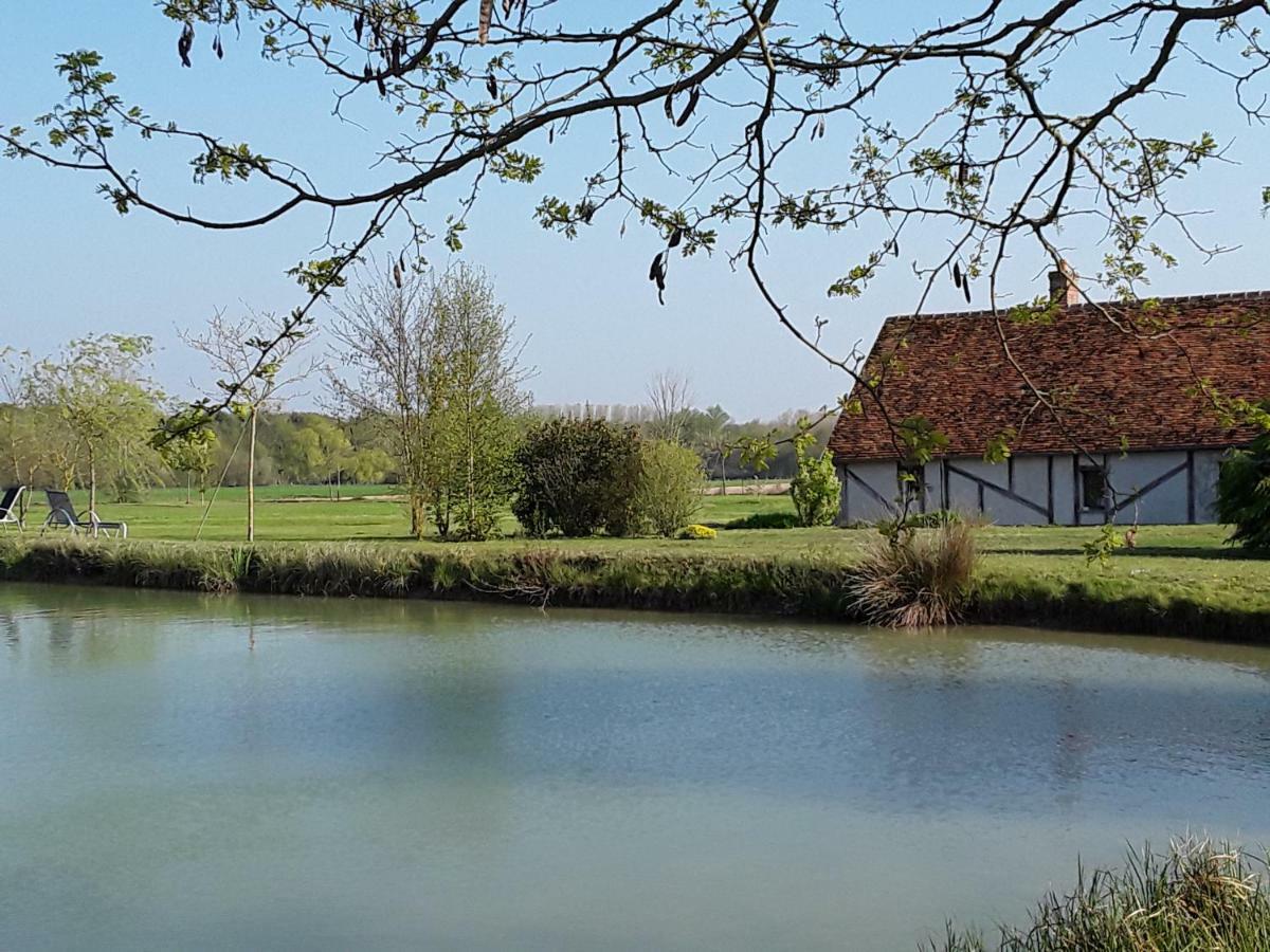 La Belviniere Chambres Et Table D'Hotes Tour-en-Sologne Luaran gambar