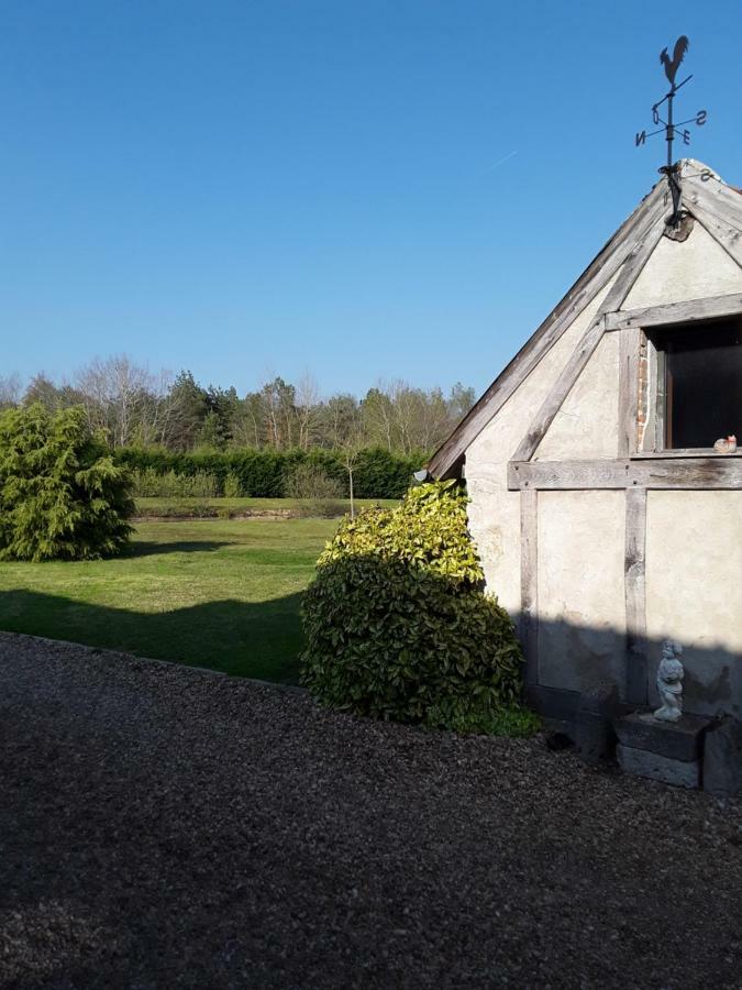 La Belviniere Chambres Et Table D'Hotes Tour-en-Sologne Luaran gambar