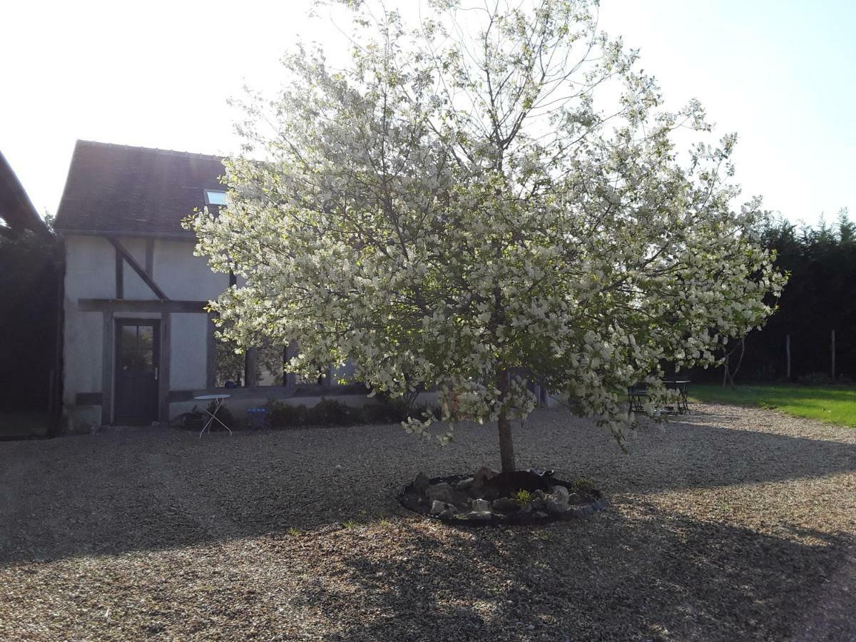 La Belviniere Chambres Et Table D'Hotes Tour-en-Sologne Luaran gambar