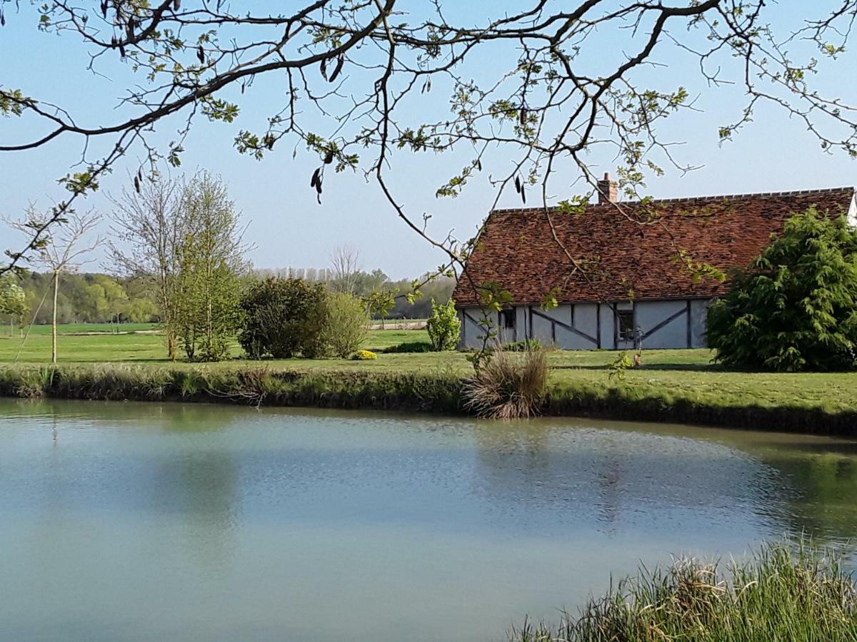 La Belviniere Chambres Et Table D'Hotes Tour-en-Sologne Luaran gambar