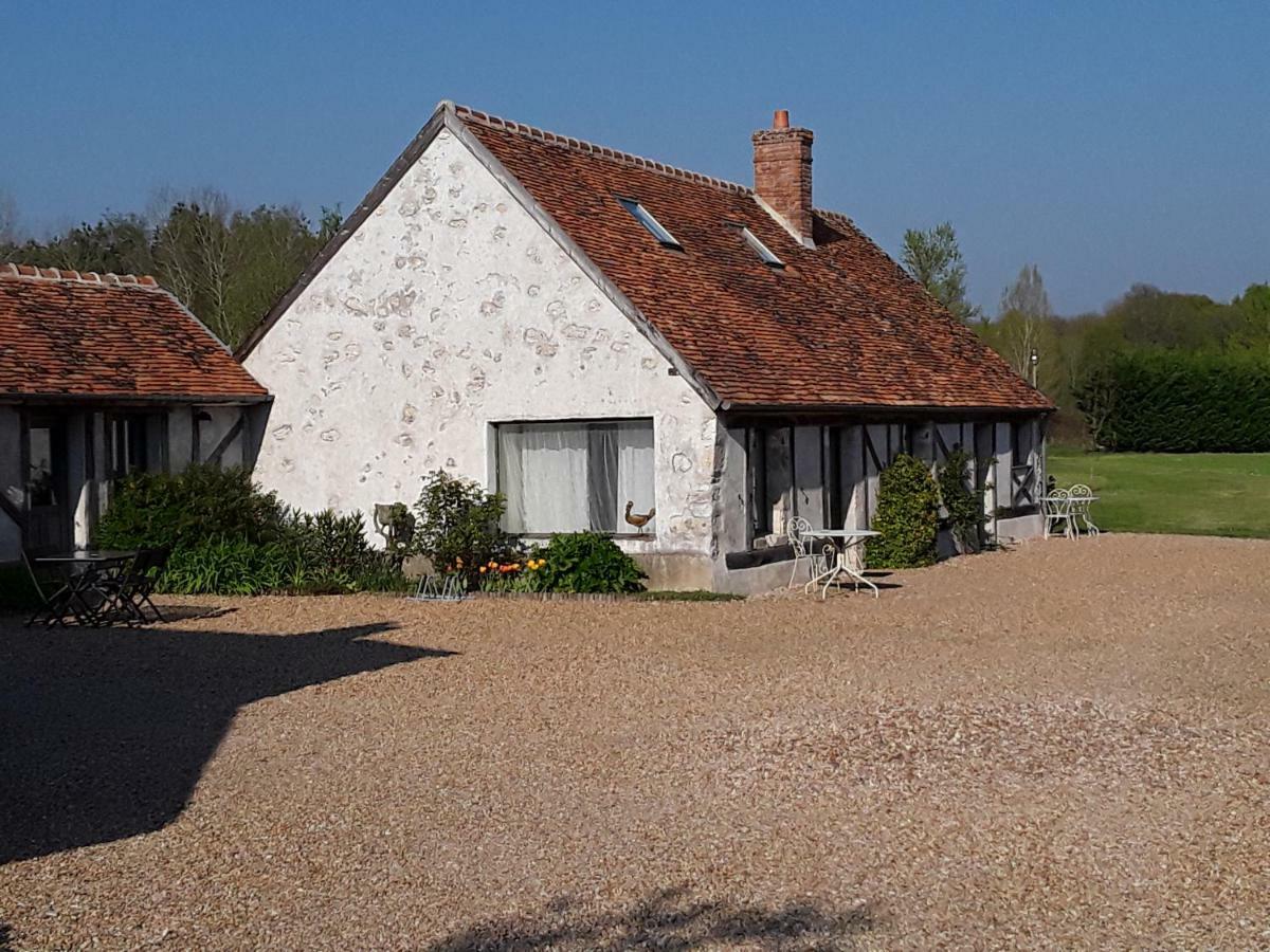 La Belviniere Chambres Et Table D'Hotes Tour-en-Sologne Luaran gambar